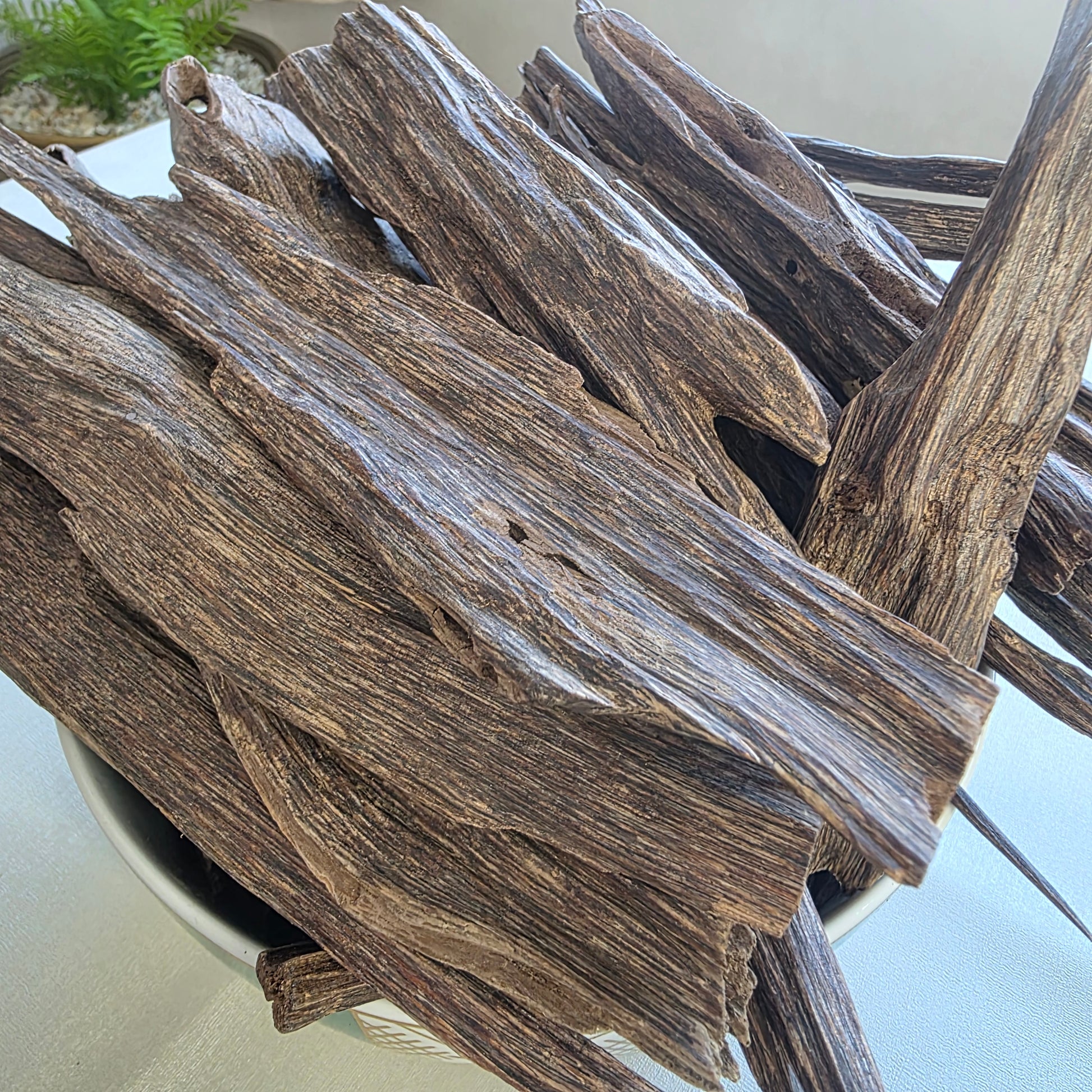 Oud Indien Naturel (العود الهندي الطبيعي) My Store