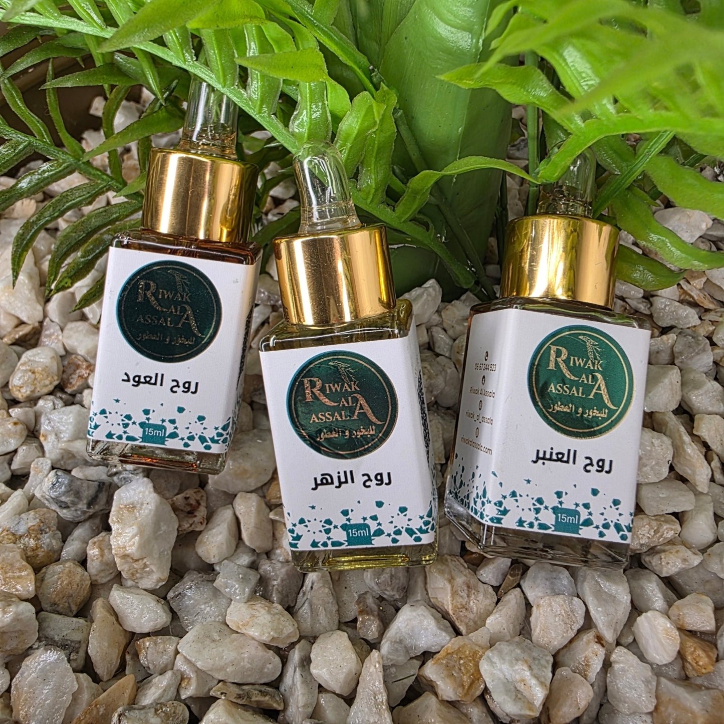 Pack Nassim Al Assala- Trio Extraits Parfumés (روح الزهر، العود و العنبر) Riwak Al Assala